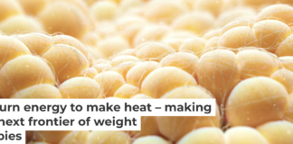 There is more to fat than meets the eye. Thom Leach/Science Photo Library via Getty Images